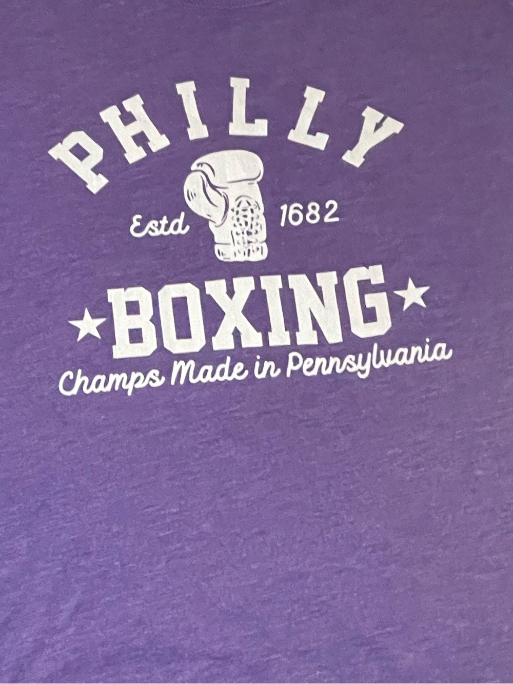 Next Level Apparel Purple Crewneck Tee